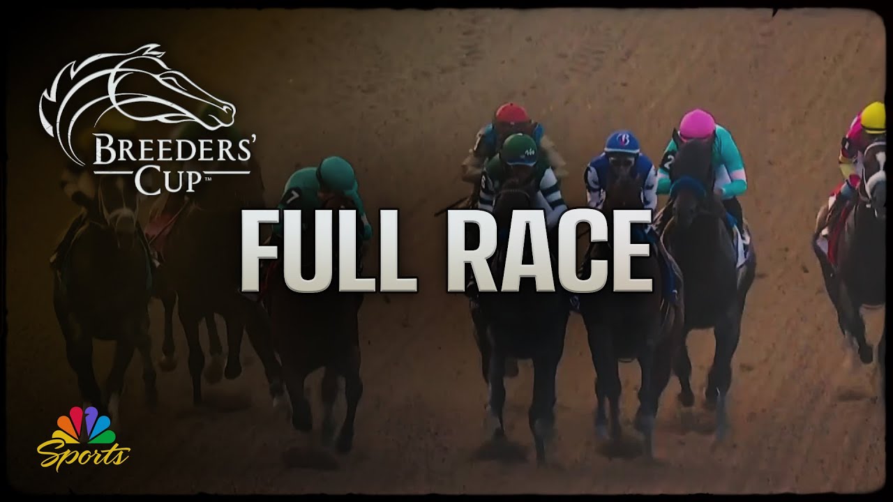 Breeders' Cup 2025 Dirt Mile Full Race 🏇