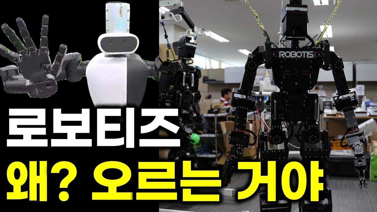 로보티즈 기업 소개 및 멤버십 정보 🤖