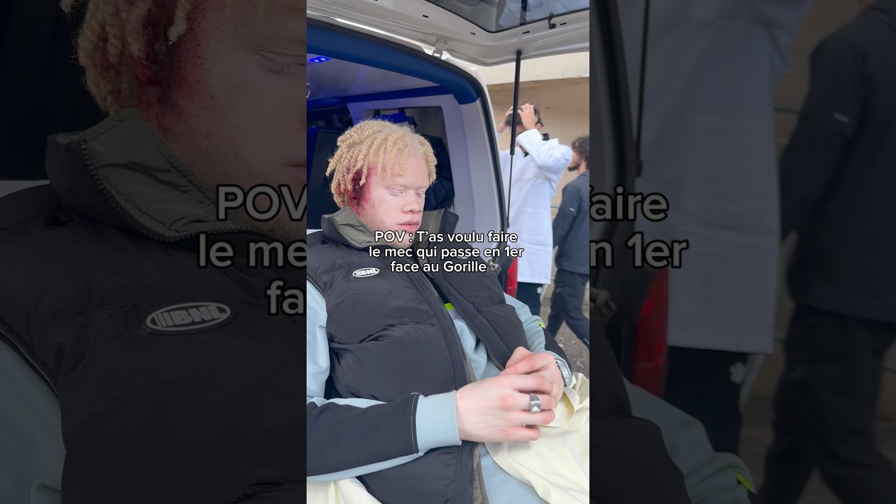 100 Hommes contre 1 Gorille : Qui en sortirait vainqueur ?