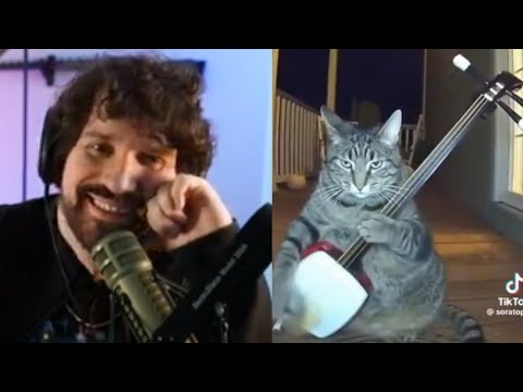 Destiny Reacts To Funny Cat Videos, Lauren Drama, Tik Toks And His Lawsuit