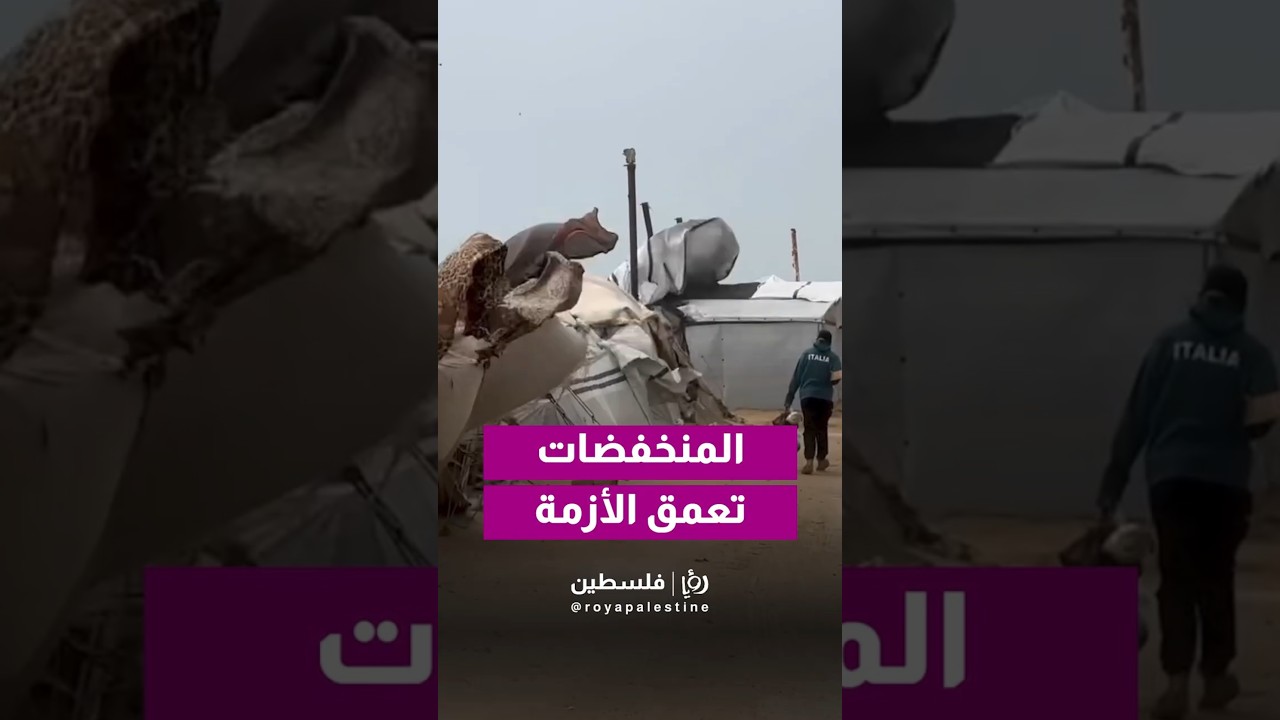 المنخفض الجوي يفاقم أزمة النازحين في غزة 🌧️