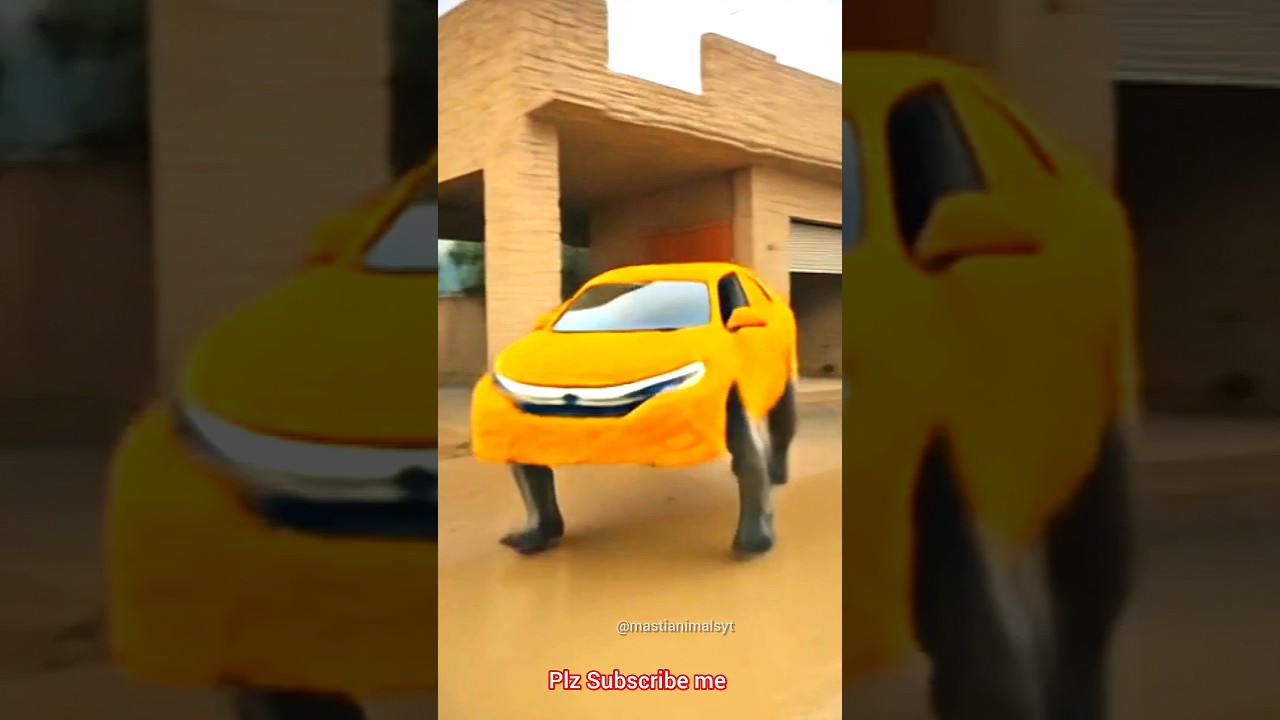 Elegant Car Movement Captivates Viewers