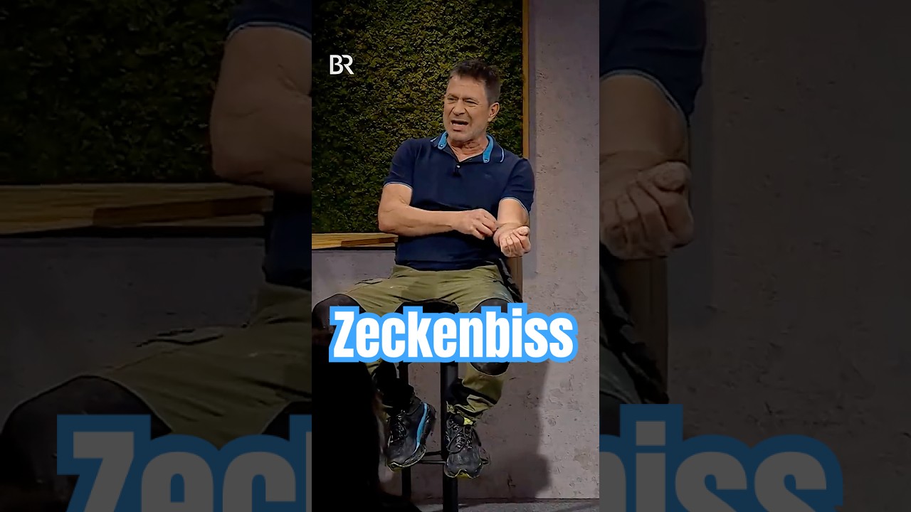 Zeckenbiss | Rolf Miller | Asül für alle | BR Kabarett & Comedy | #shorts