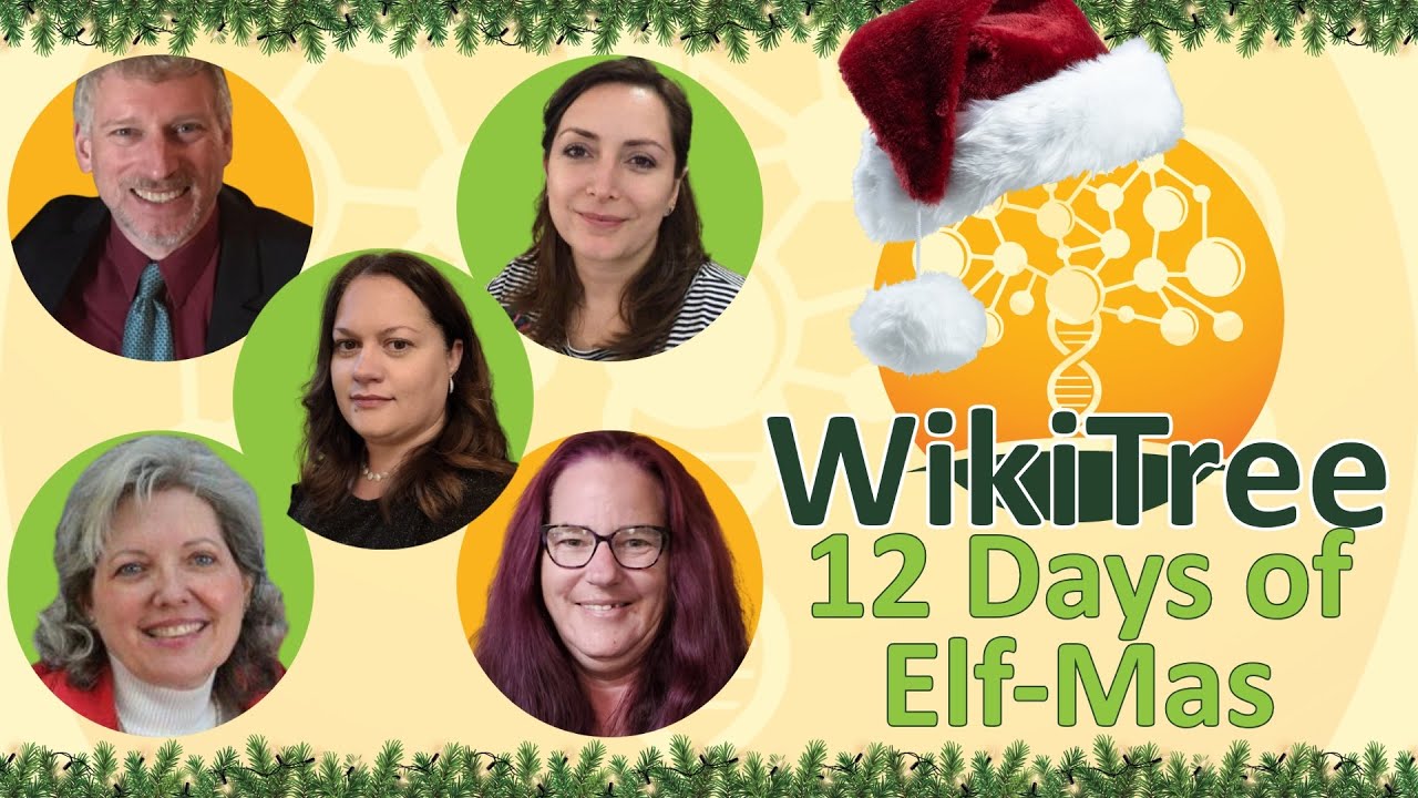 12 Days of Elf-Mas Day Nine (30 Dec 2025)