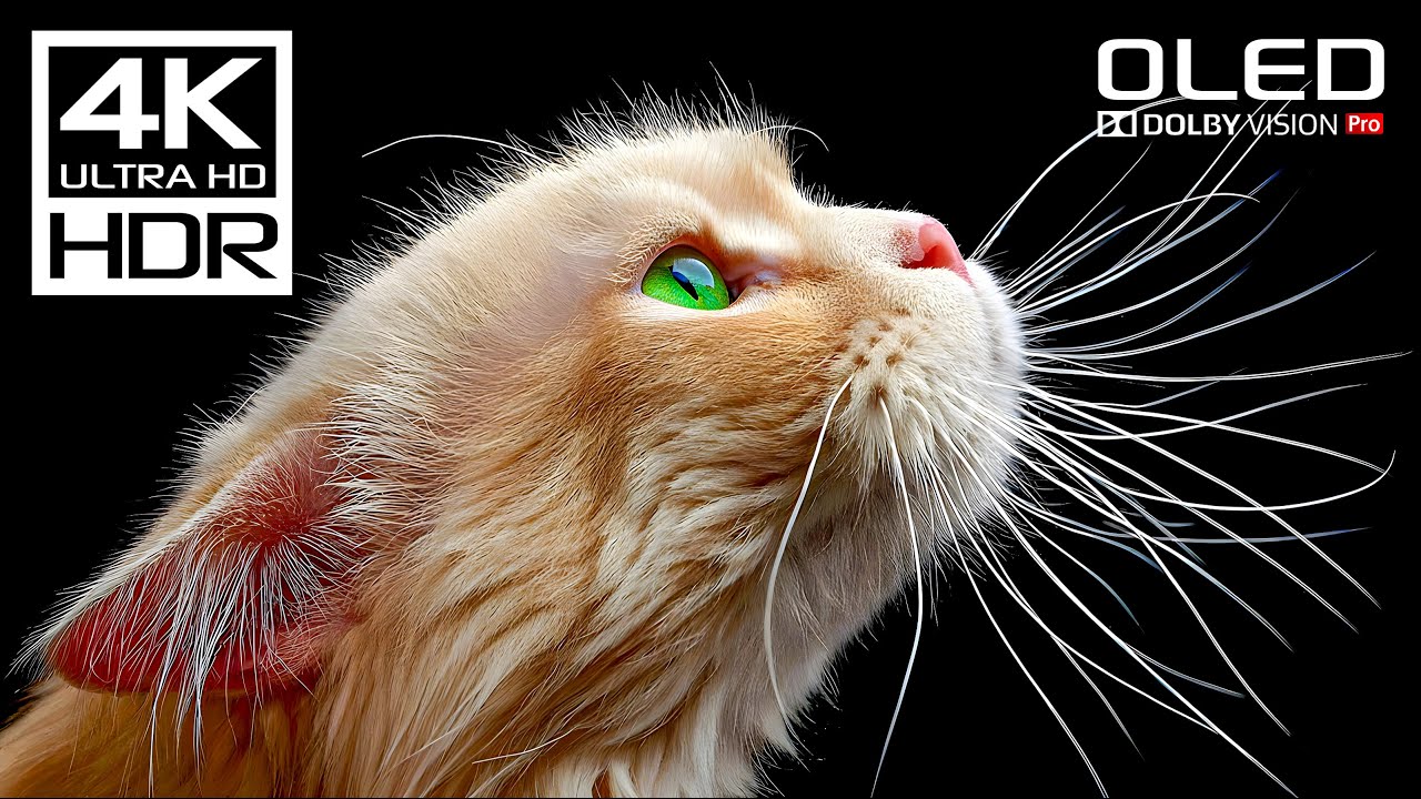 Stunning 4K Dolby Vision HDR Videos for Relaxation