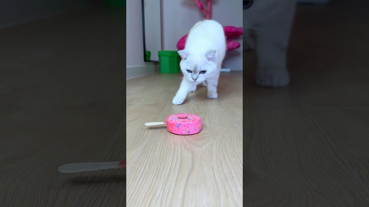 Where's My Ice Cream? 🥶