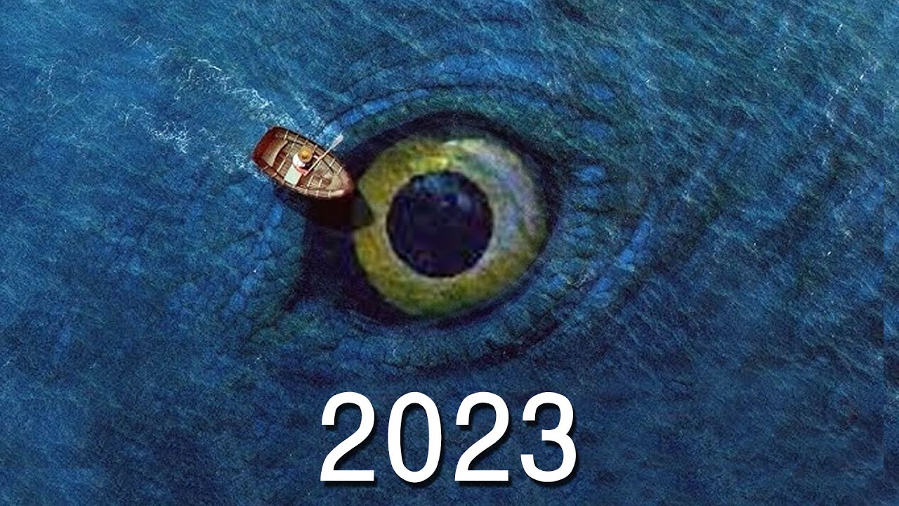 Evolution of Bloop 🌊