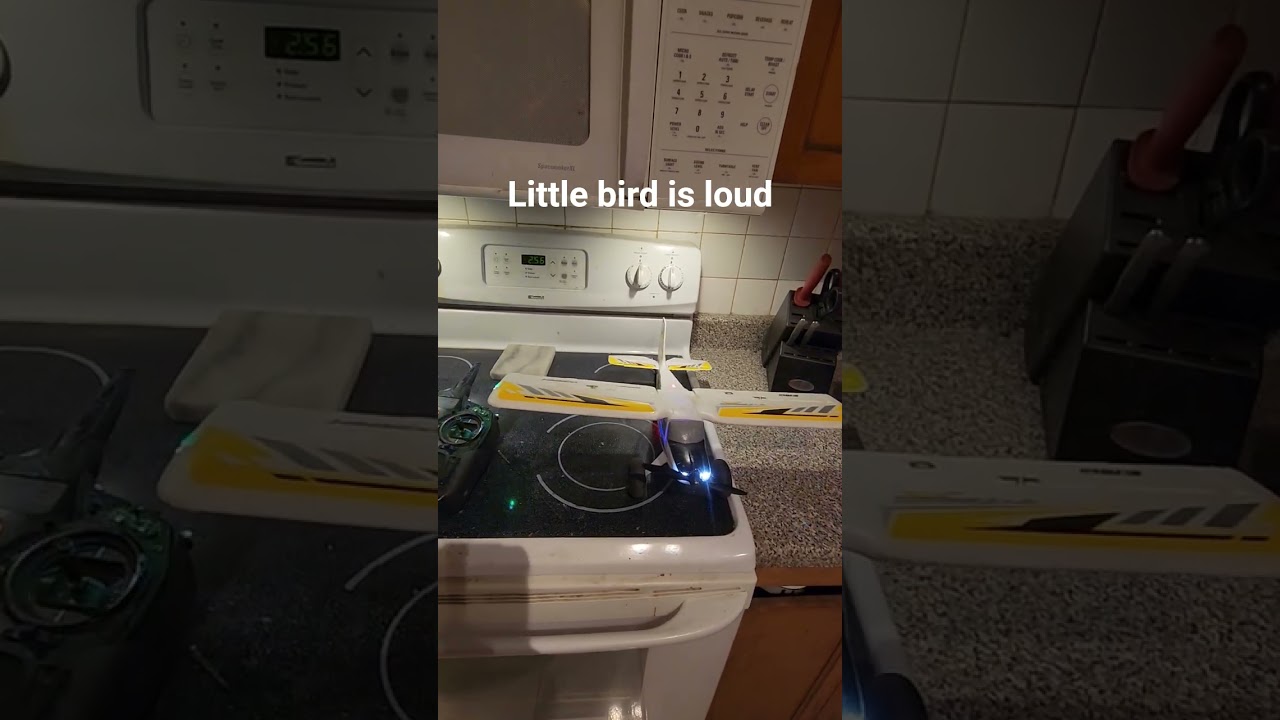 E-flite UMX Timber X: The Perfect Small RC Airplane for Hobbyists 🛩️