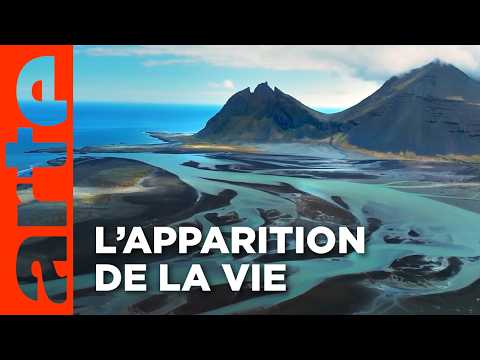 Terre, les forces du vivant | Documentaire | ARTE