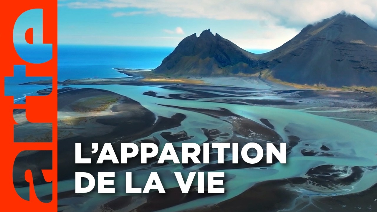 Terre, les forces du vivant | Documentaire | ARTE