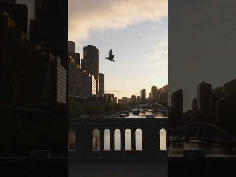 The Simple Pleasures Of #Melbourne #videography