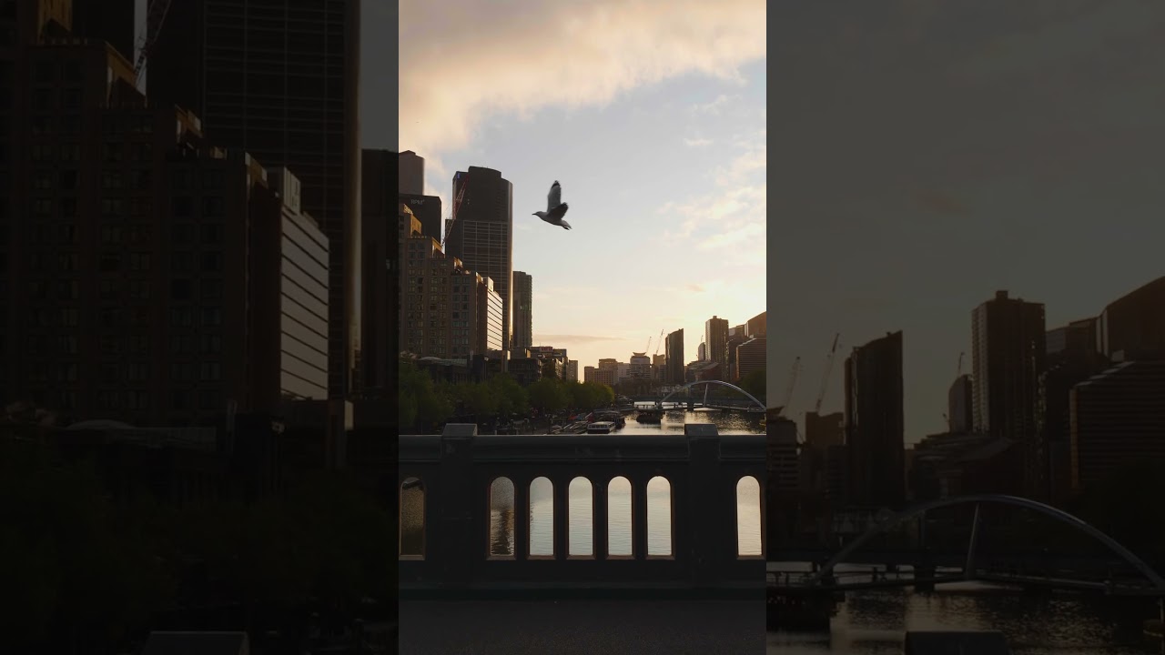Enjoying Melbourne's Simple Videography Pleasures π₯