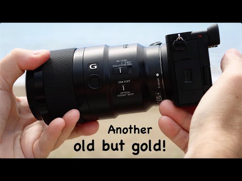 Sony FE 90mm F2.8 G OSS macro, review with photos (macro, close up, pets, landscape, portrait).