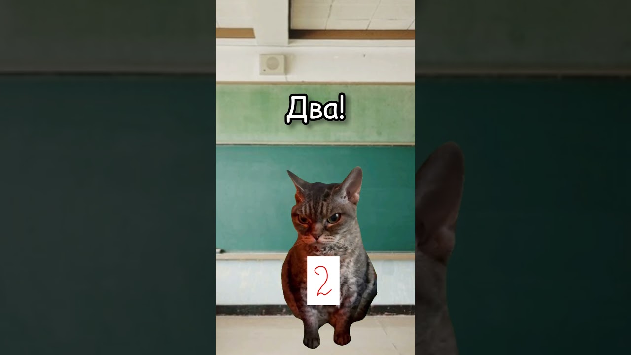 Классные моменты в школе 😂