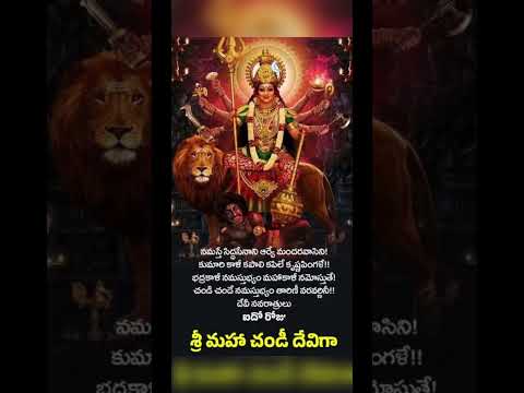 Chandi Devi Amma🙏 chandi devi stotram🙏#bhakti #chandidevi #god