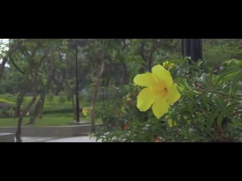 Xperia 1 Cinema Pro HDR Test (Graded in ST.2084)