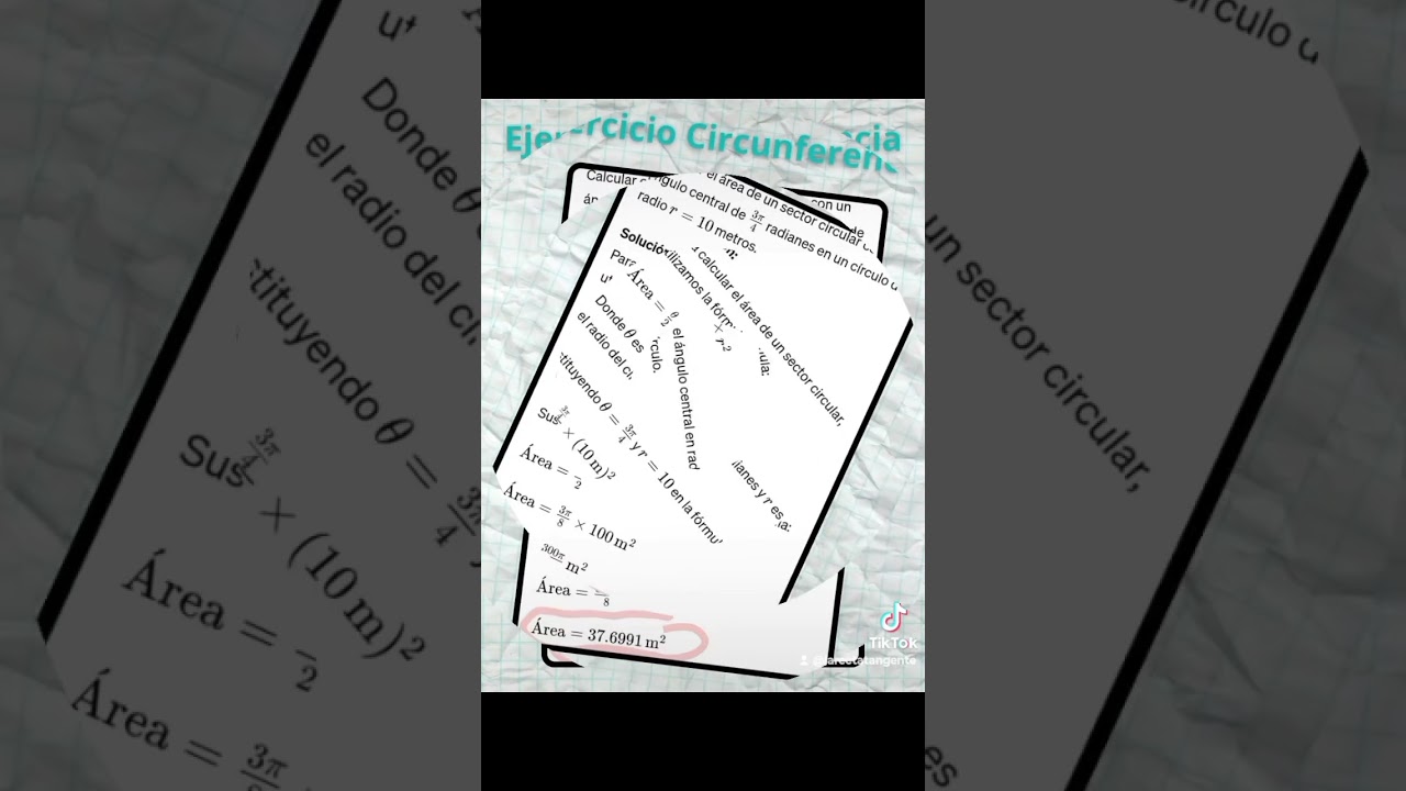 Área de la circunferencia y sector circular 📐