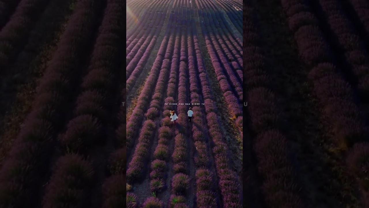 Ishq Hai - Aesthetic Lyrics & Reverb | #Shorts