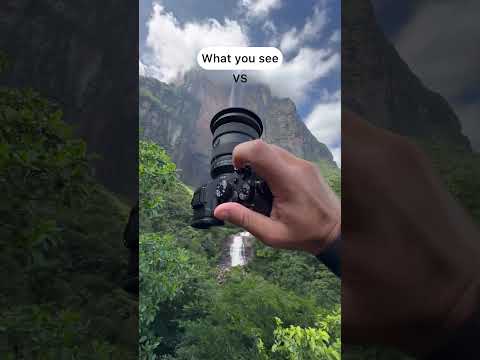 AA VISION