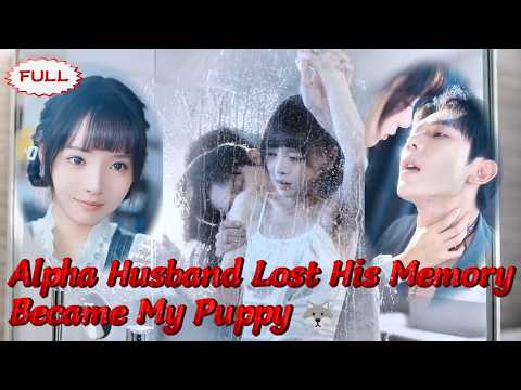 🥹My ice-cold husband turned into my loyal wolf after losing his memory #drama #romance #alpha