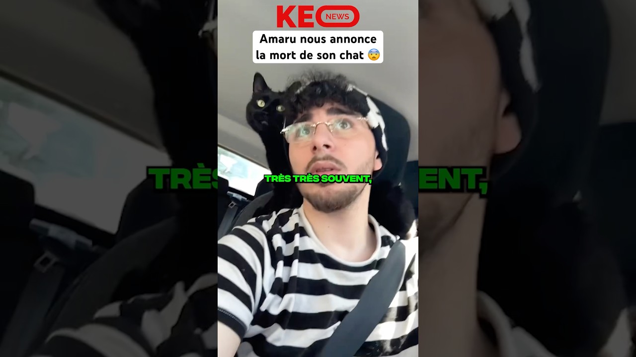 Le chat d'Amaru est-il mort ? 😨