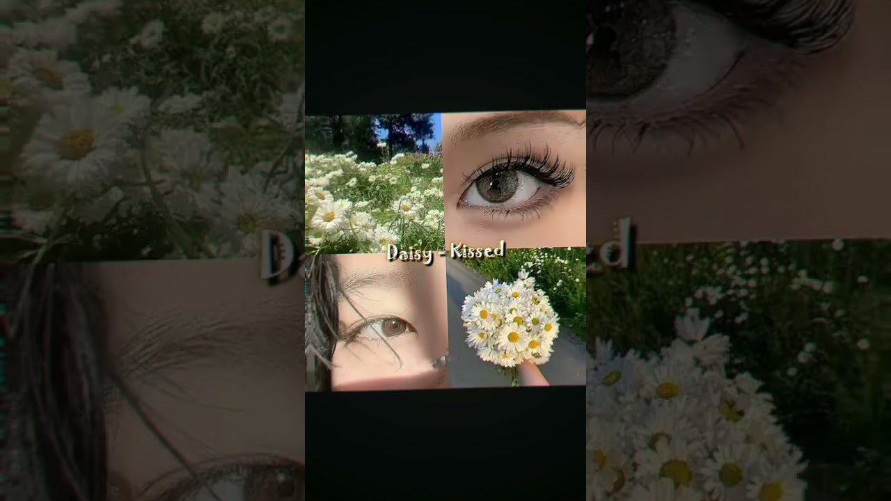 Share Your Favorite Artistic Video 🌷✨