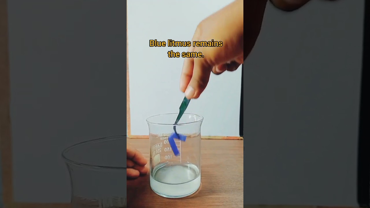 Chemistry Litmus Test 🔬