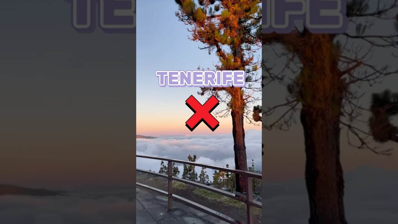 5 Top 5 à savoir sur Tenerife 🌴