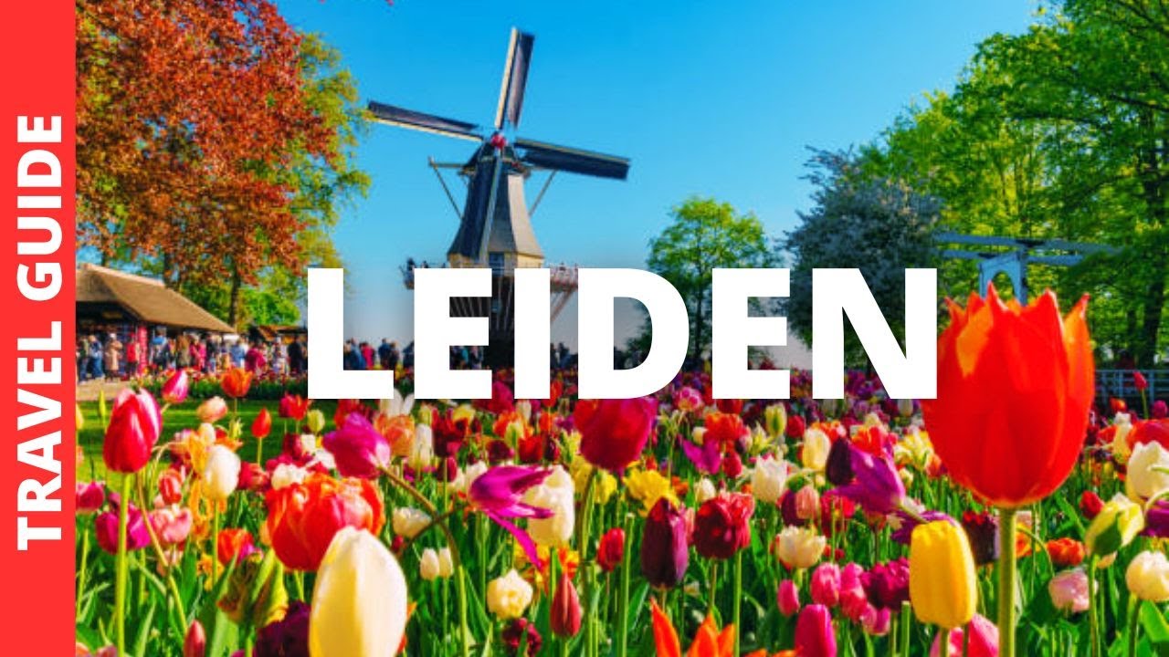 Leiden Netherlands: Top 17 Things to Do 🌷