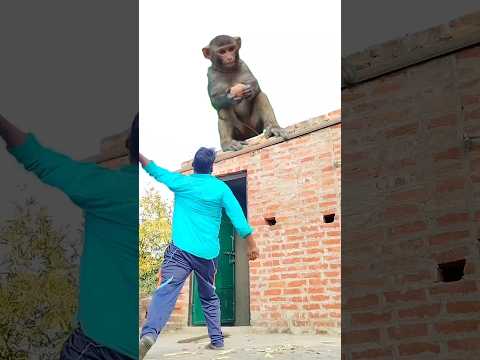 Jay Bajrangbali ji #tseries #vfx #hanumanchalisa #shortsfeed