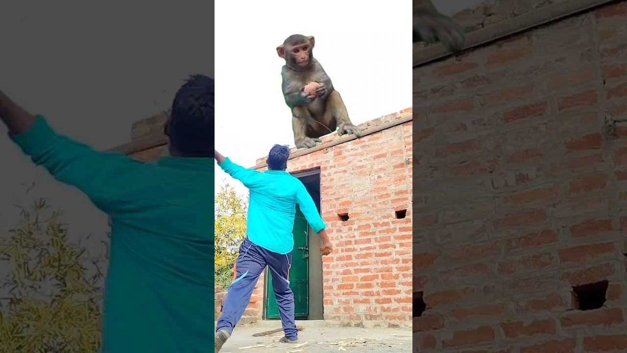 Jay Bajrangbali! Watch Stunning VFX of Hanuman Chalisa 🙏 #TSeries #Shorts