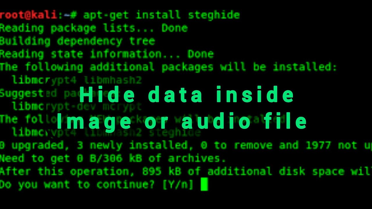 Master Steganography with Steghide: Hide Secrets in Images & Audio 🎯