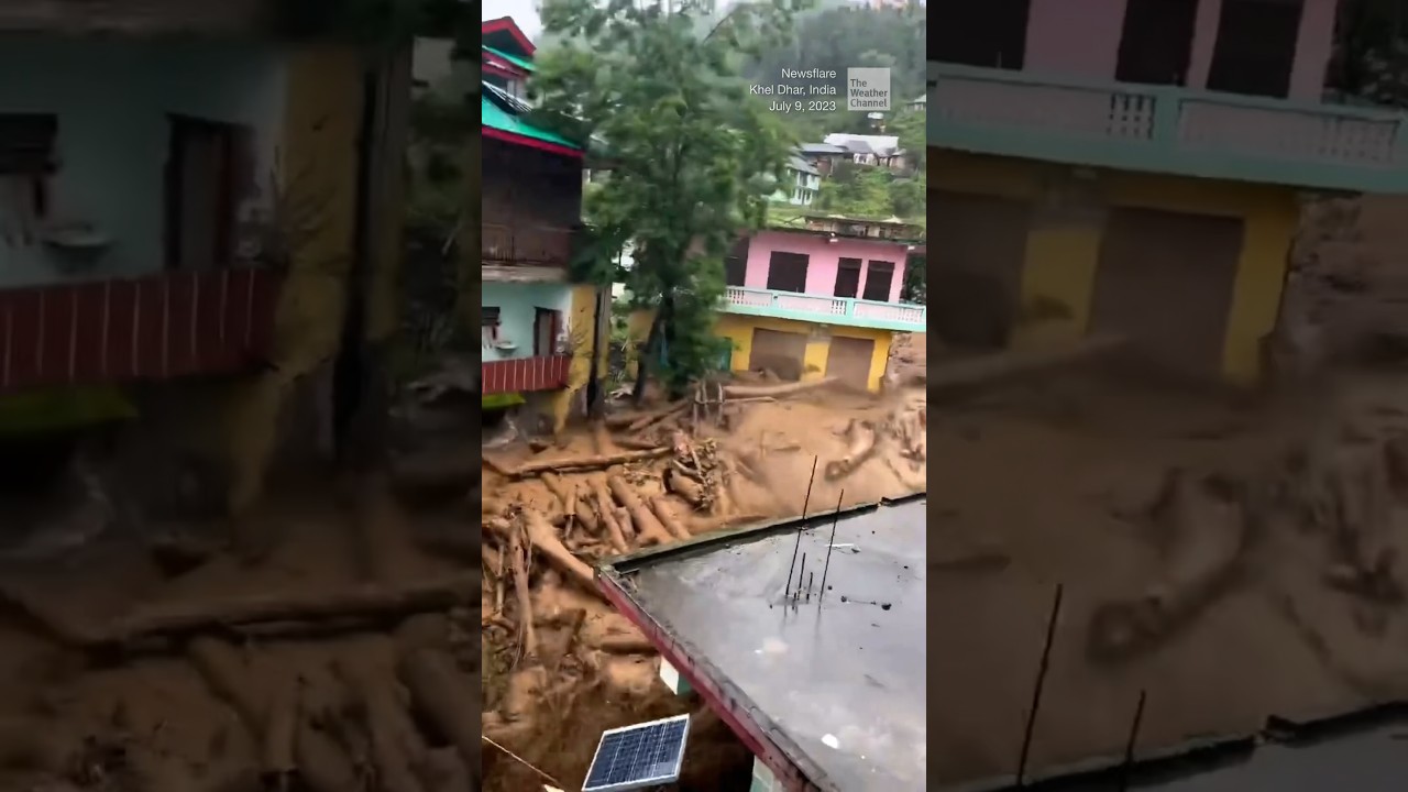Landslide Causes Tree Damage in Northern India | #shorts #trending