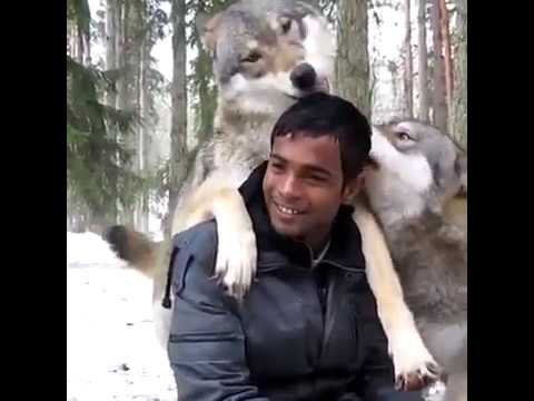 Wild Animals Showing Love 🤗