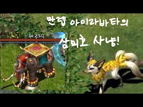 거상] 아이라바타 삼미호 사냥 성공! 🎯