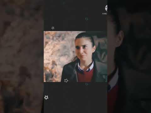 Team 1 akif amir and Ayesha Gul happy mode status