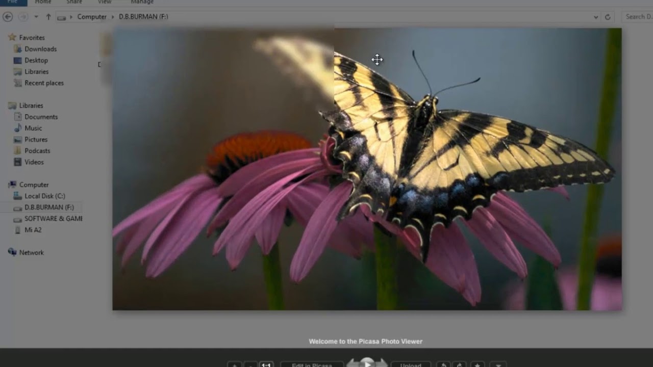 How to Hide a Secret File in a Picture Using Quick Stego Steganography