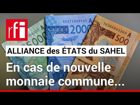 AES - Une dévaluation du F CFA est-elle à craindre ? ⹠RFI