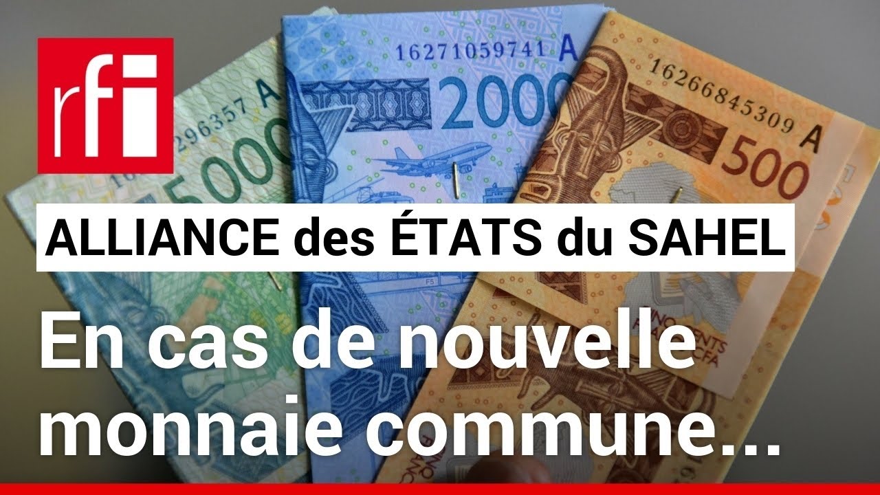 Faut-il craindre une dévaluation du F CFA ? Analyse de la position du Niger et des autres pays 🇳🇪