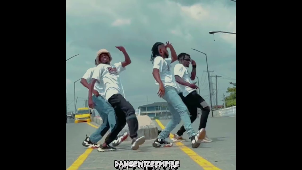 FIDIDI - Dj Spinall Dance Video 🎶