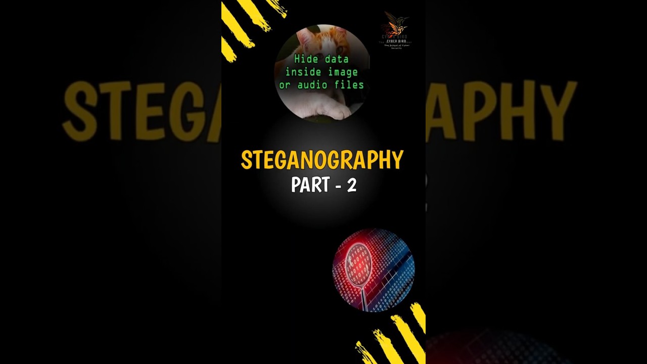 EP-02/02 Steganography Series: Hiding Data - A Beginner's Guide