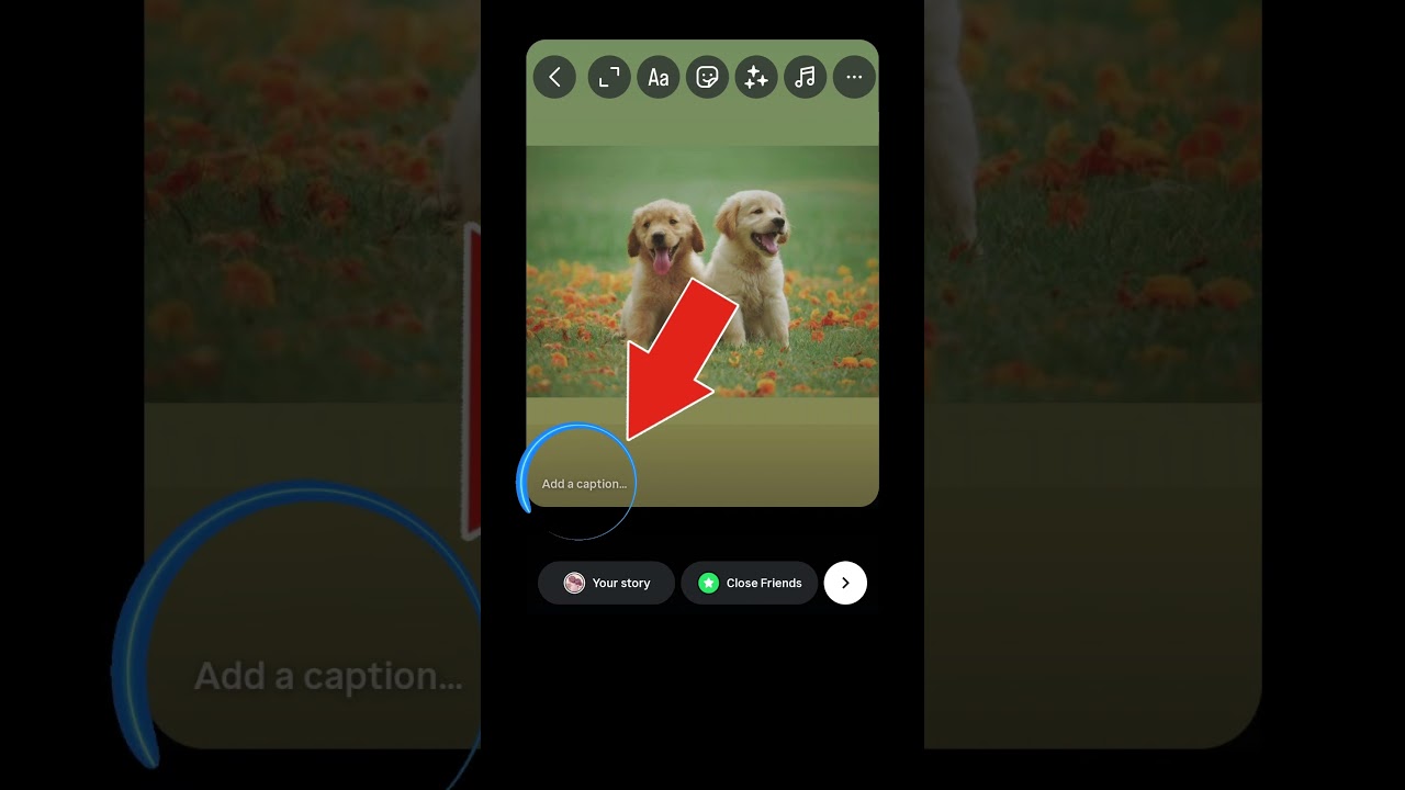 Add Captions to Instagram Stories Easily ๐