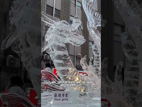 World's craziest ice sculptures!