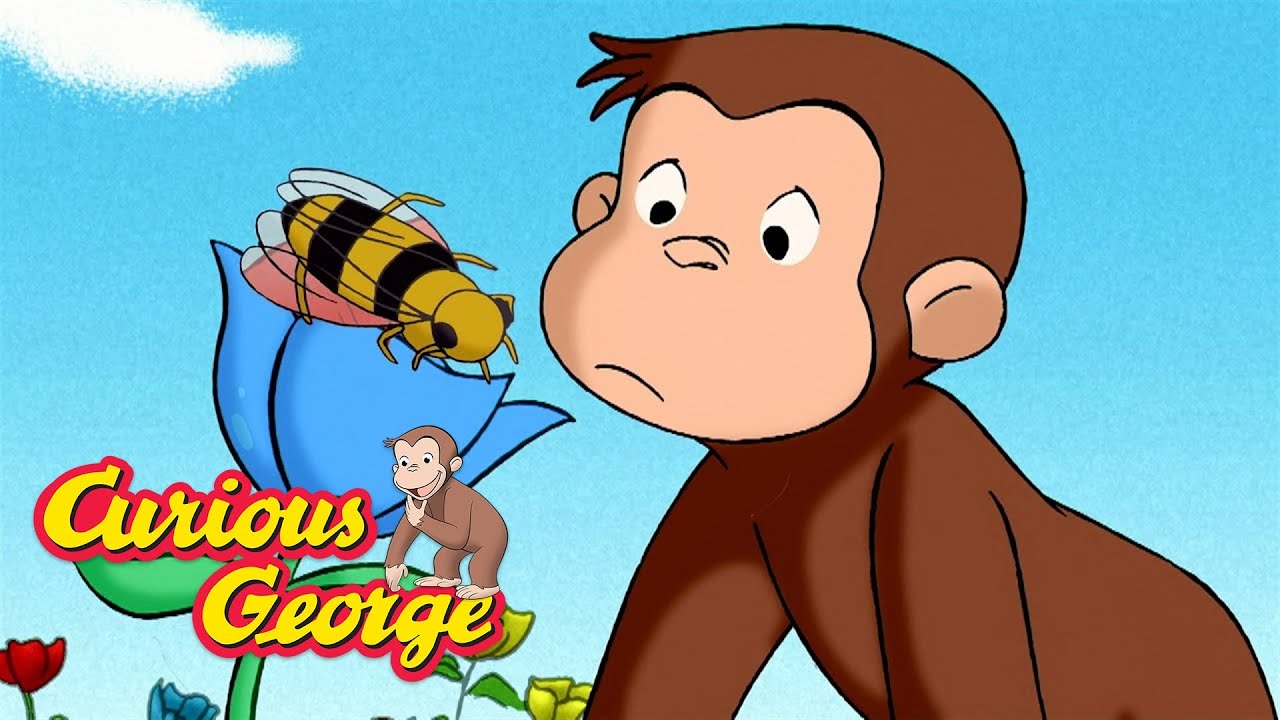 Where Does Honey Come From? 🐝 Kids Cartoon