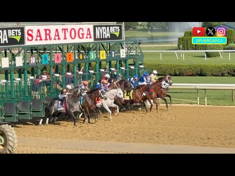 2025 Whitney Stakes: Fierceness & Sierra Leone Renew Rivalry 🏇