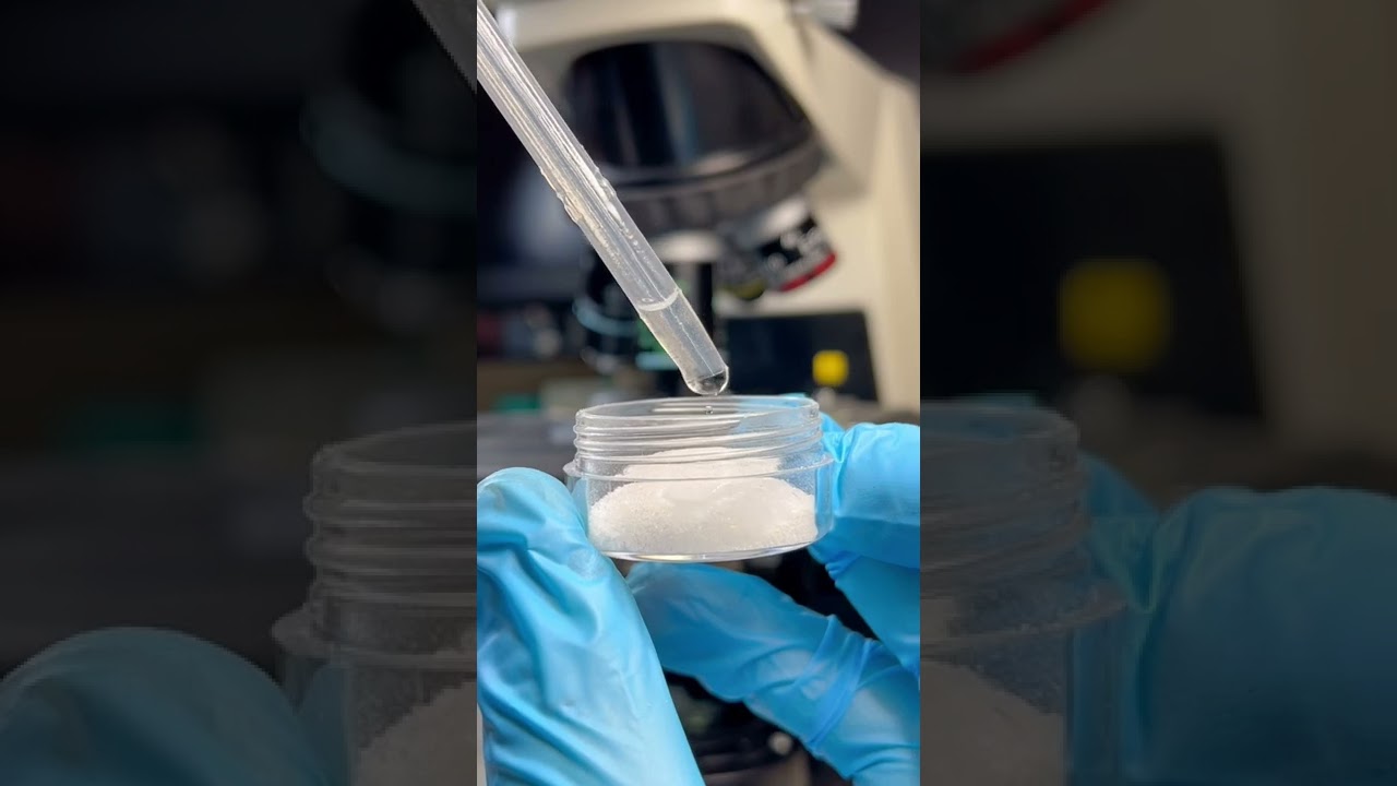 Salt-water Versus bacteria under the Microscope!