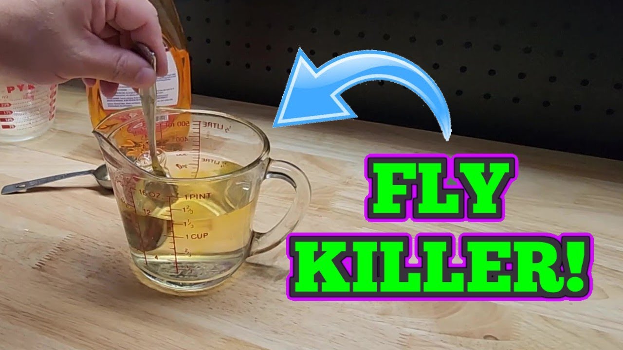 DIY Home Fly Trap Using Kitchen Ingredients 🪰
