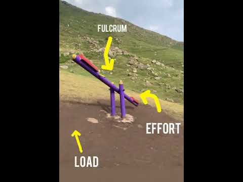 First Order Lever in Kinesiology 🏔️