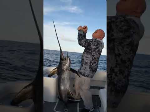 Swordfish is no JOKE!