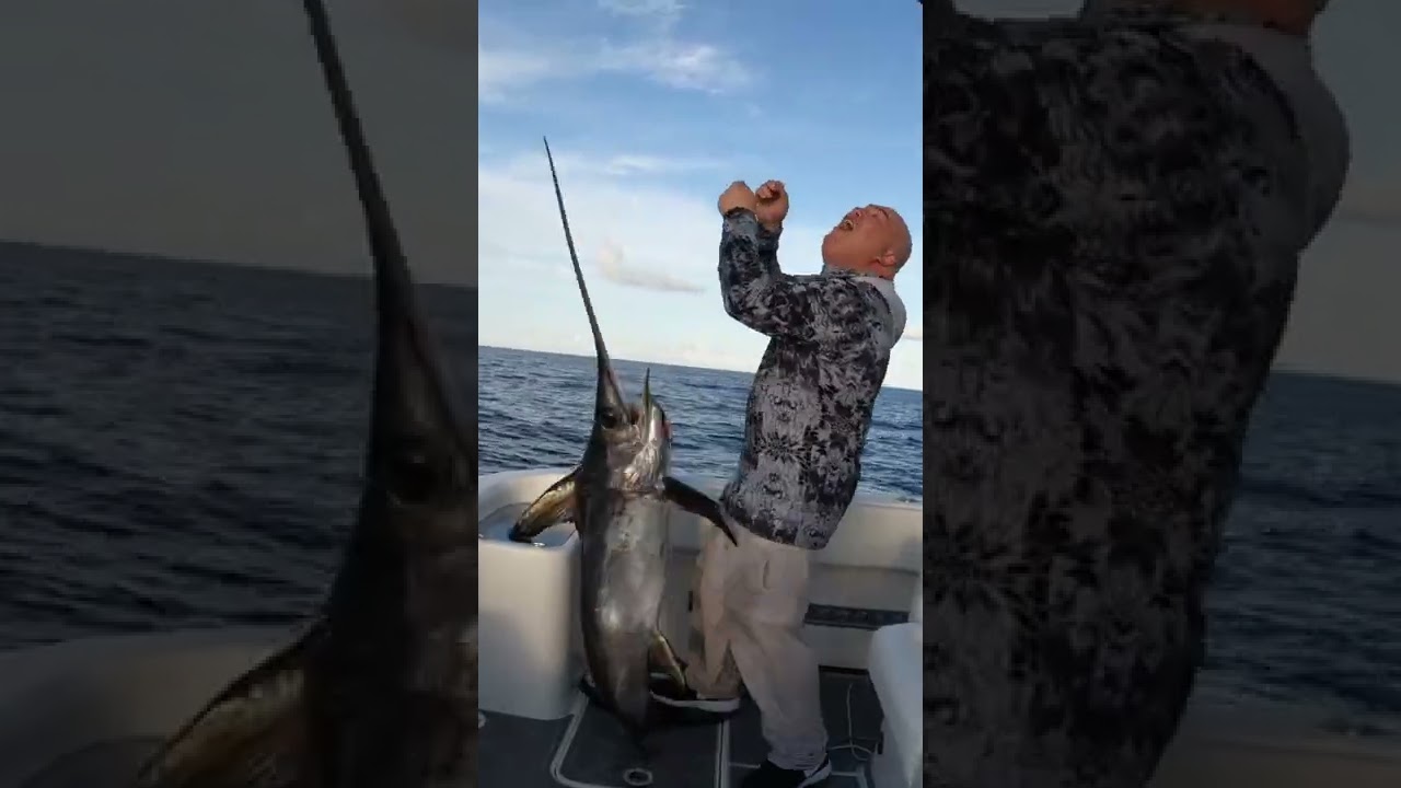 Swordfish Encounter: An Unforgettable Fishing Experience